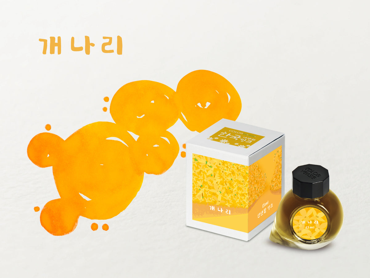 Colorverse - Forsythia (Korea Special Series)