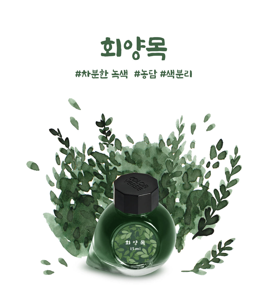 Colorverse - Boxwood (Korea Special Series)