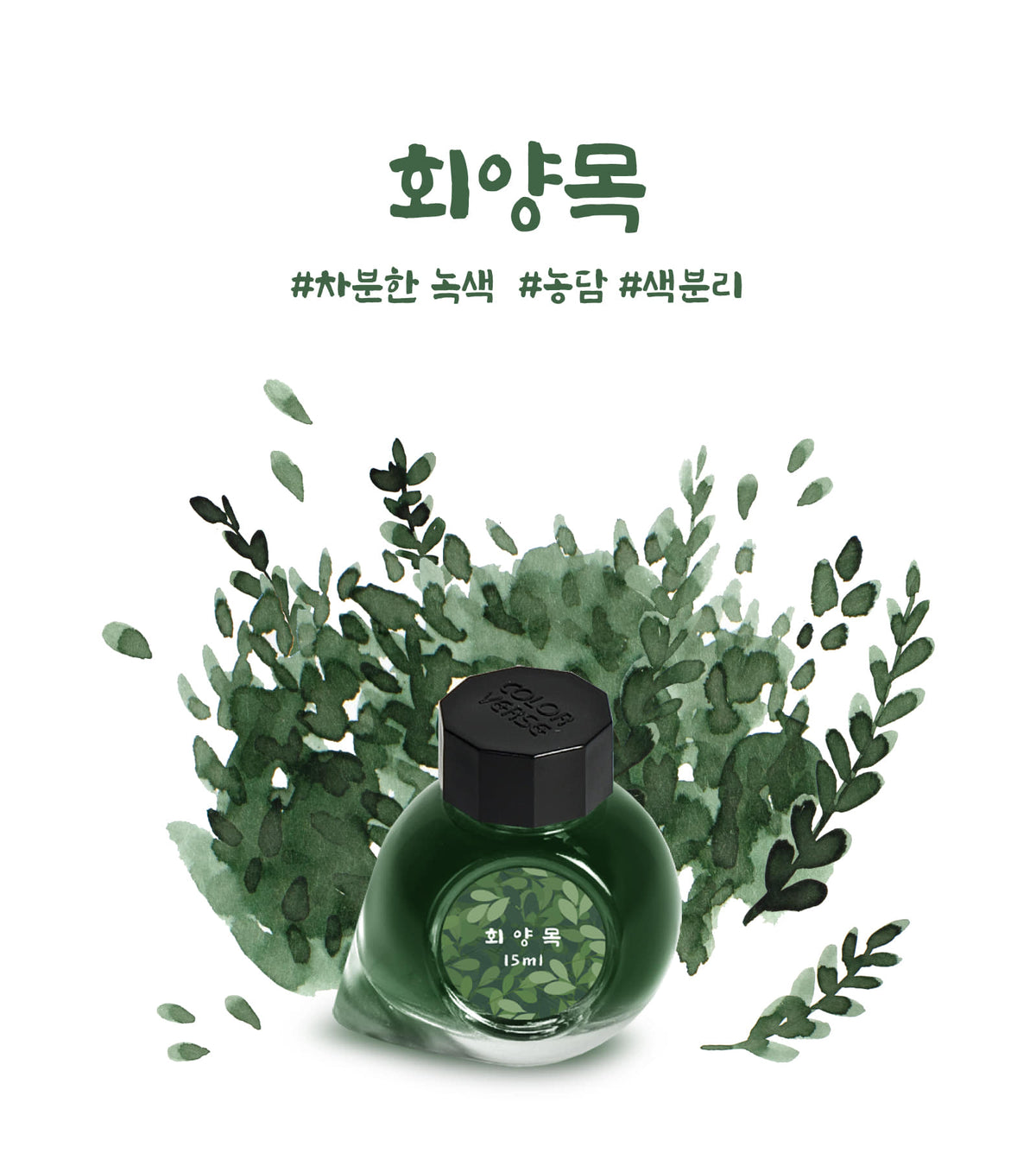 Colorverse - Boxwood (Korea Special Series)