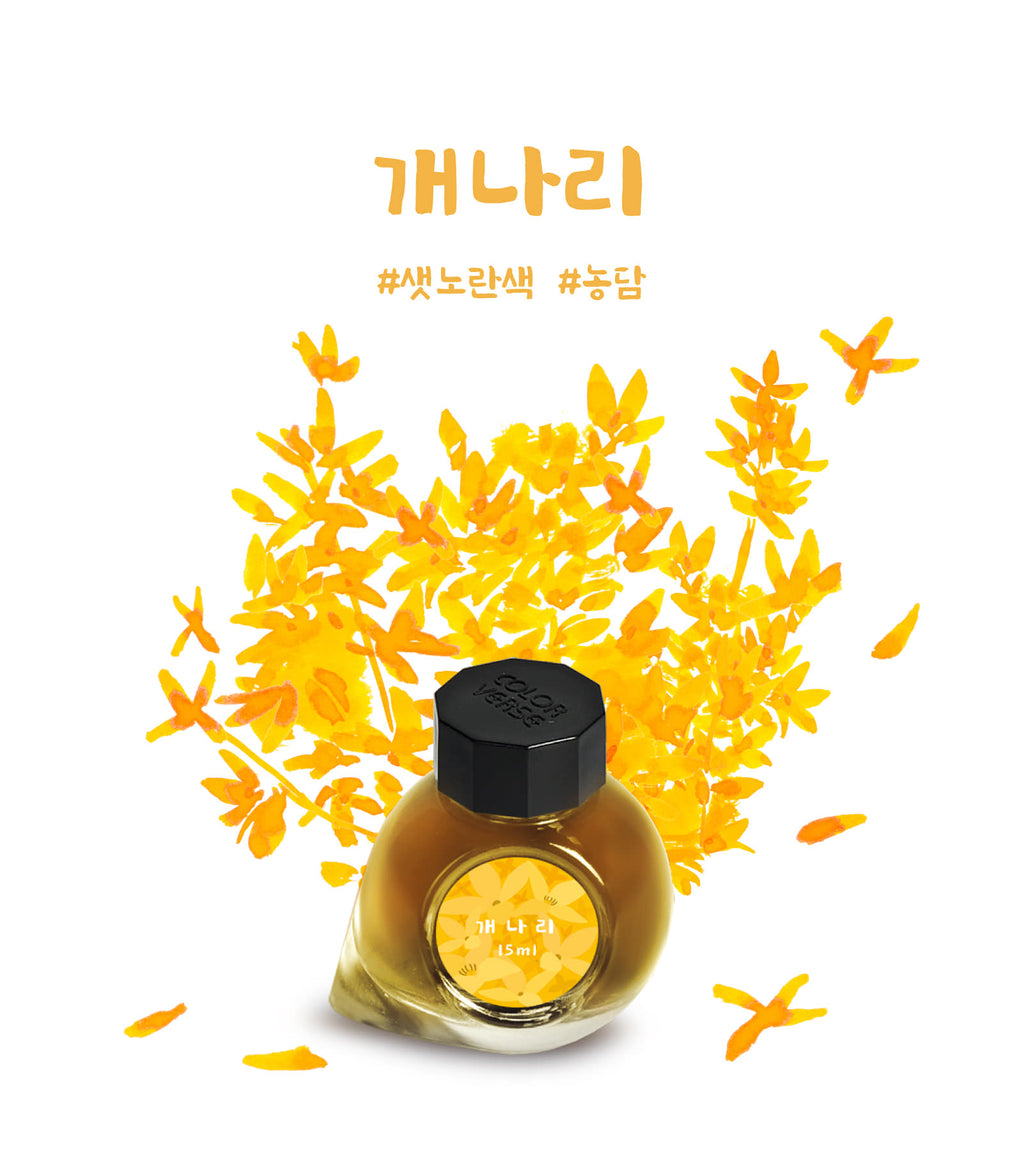Colorverse - Forsythia (Korea Special Series)