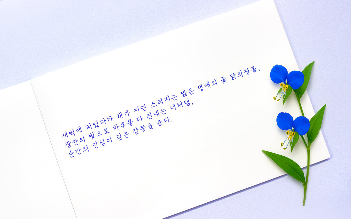 Colorverse - Asiatic Dayflower (Korea Special Series)
