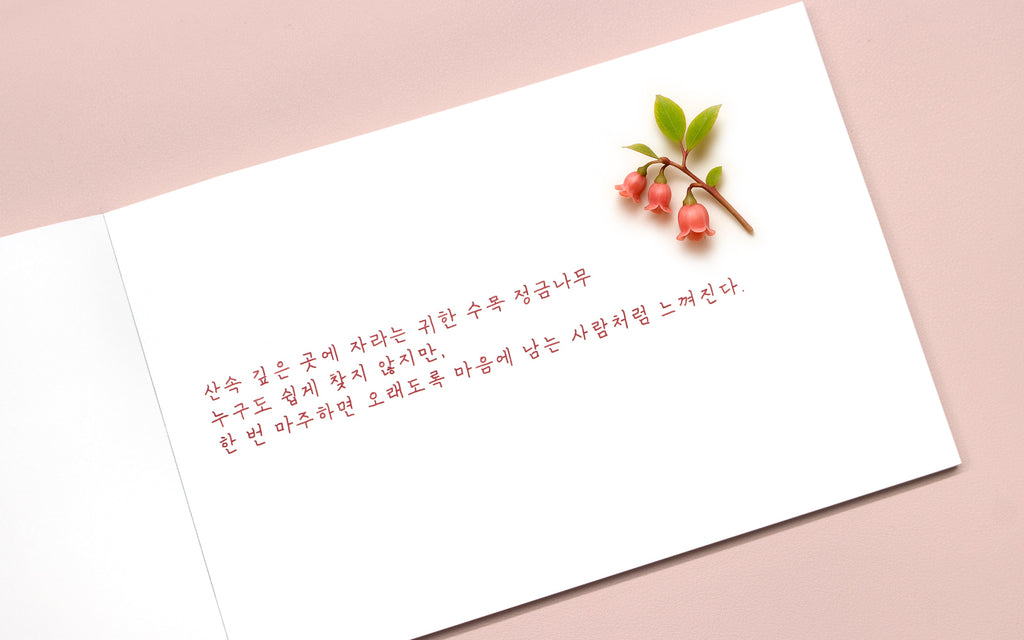 Colorverse - Korean Blueberry (Korea Special Series)