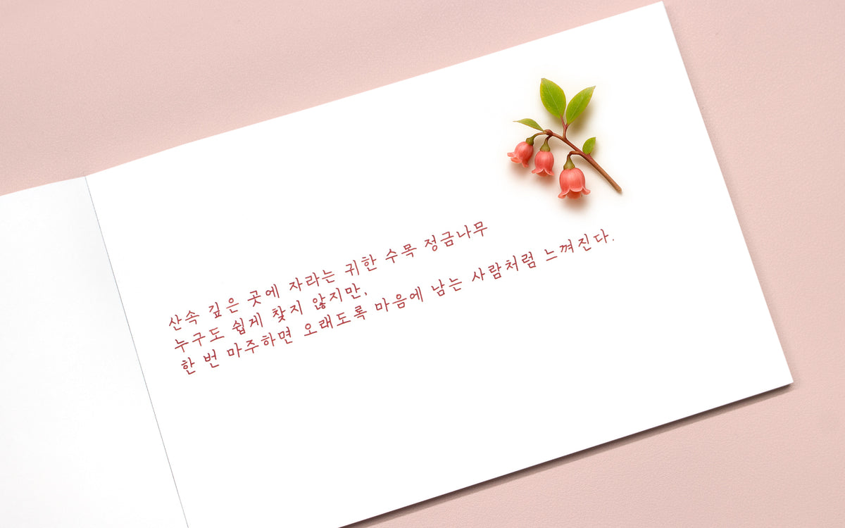Colorverse - Korean Blueberry (Korea Special Series)