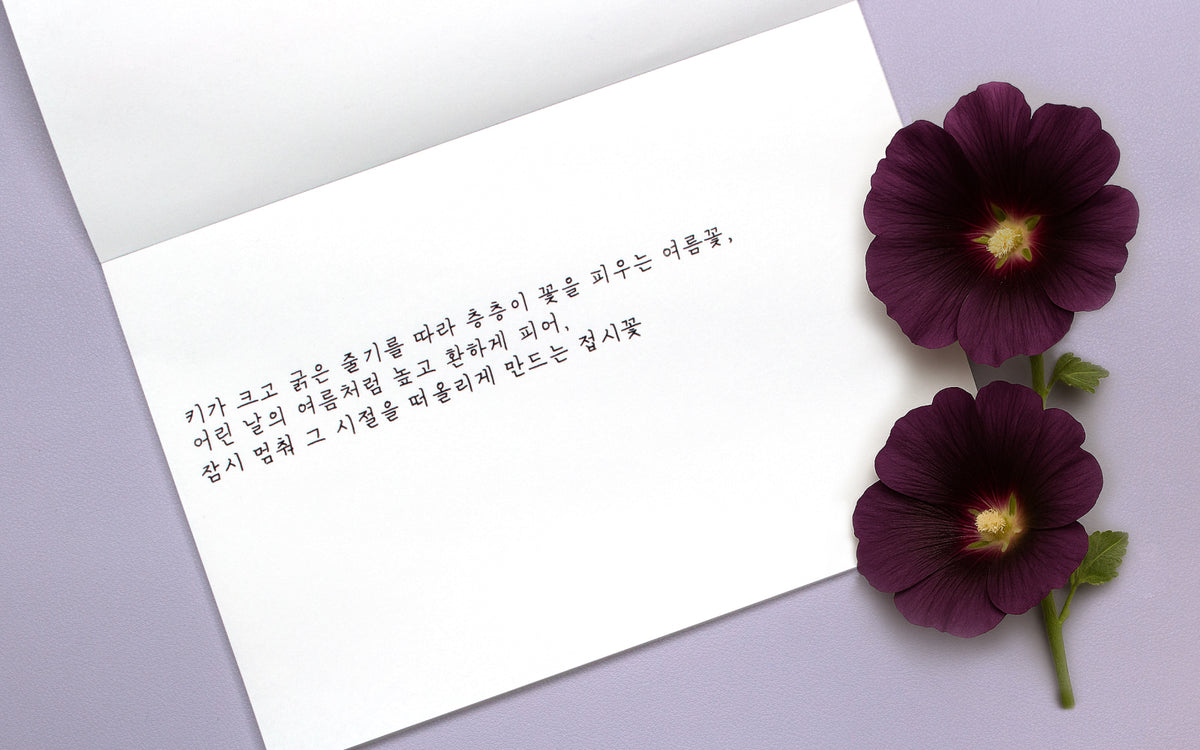 Colorverse - Hollyhock (Korea Special Series)