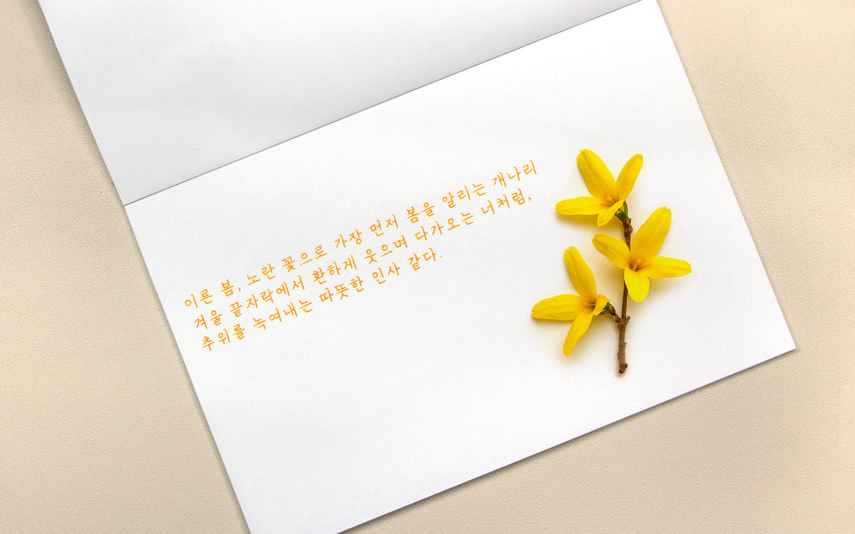 Colorverse - Forsythia (Korea Special Series)