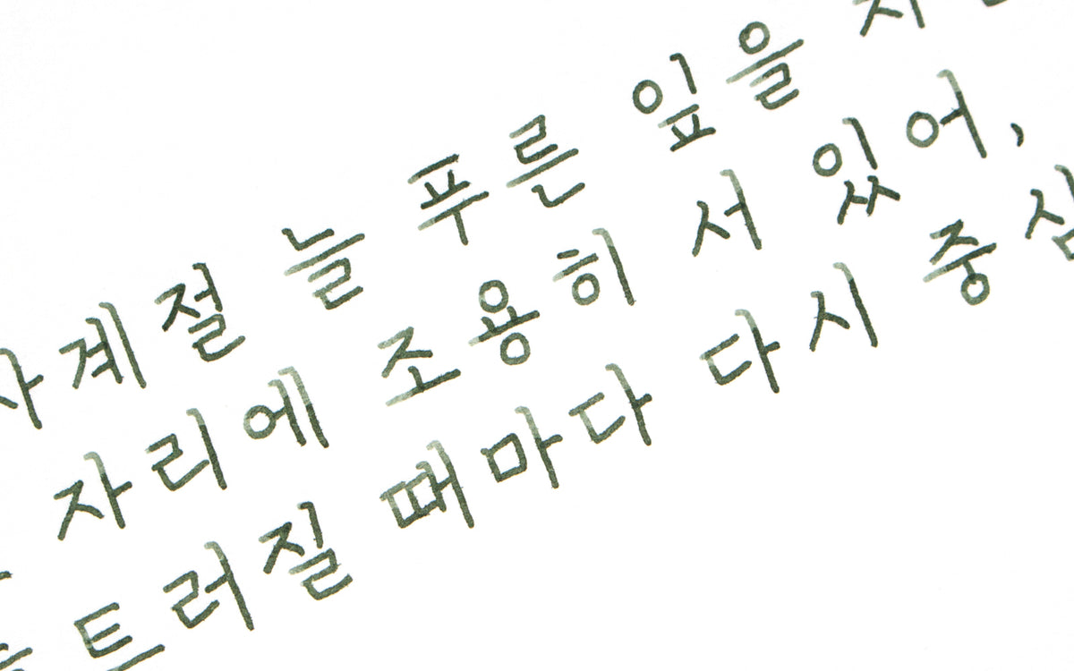 Colorverse - Boxwood (Korea Special Series)