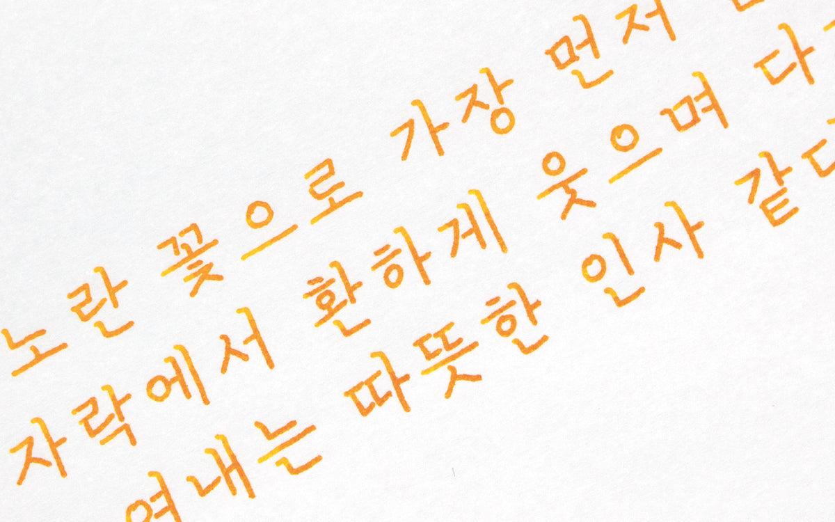 Colorverse - Forsythia (Korea Special Series)