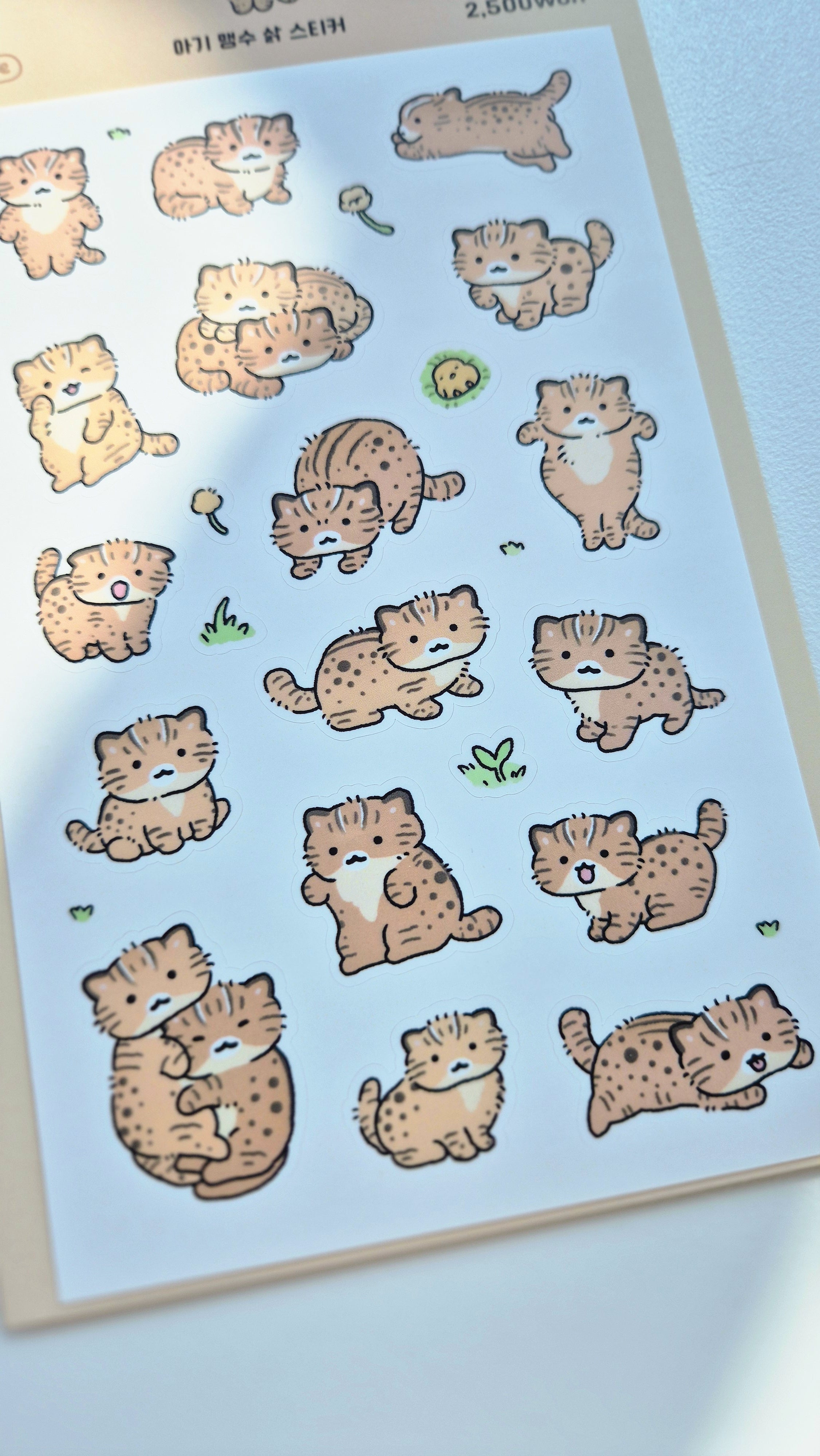 Mousse - Leopard Cat Sticker Sheet