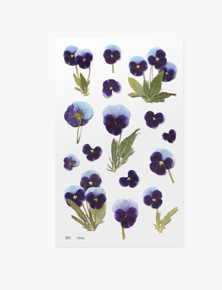 Appree - Pressed Flower Sticker Pansy