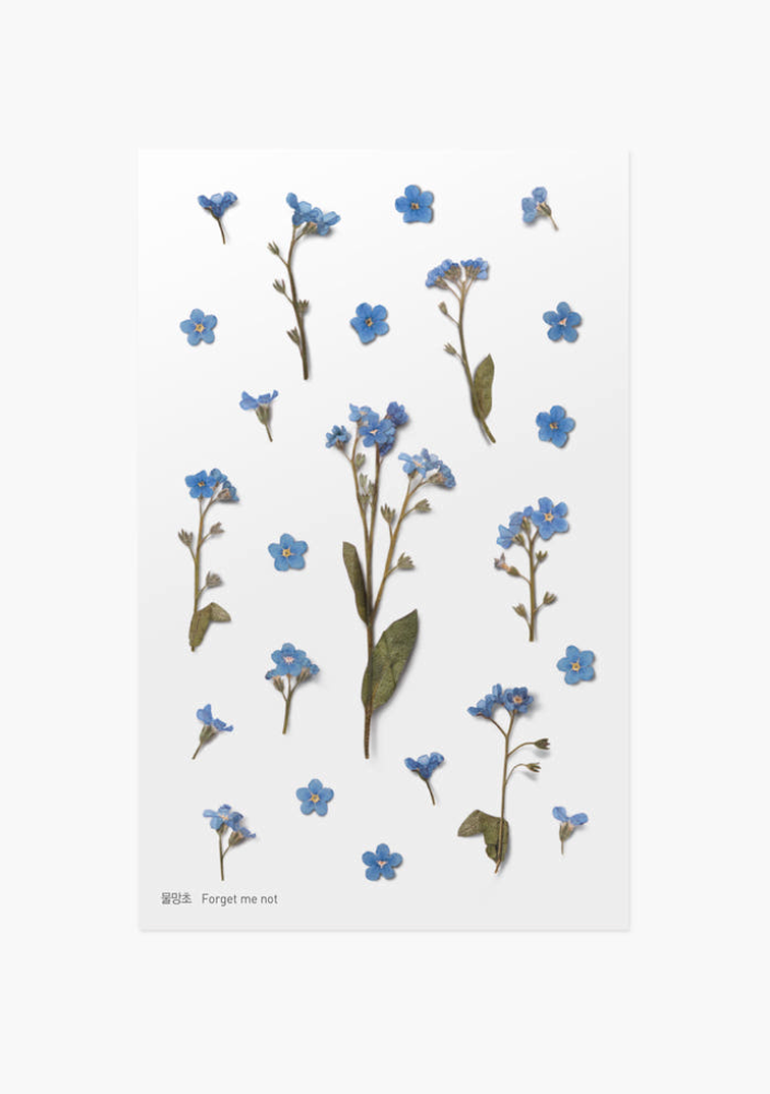 Appree - Pressed Flower Sticker Forget me not