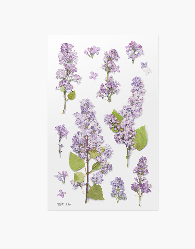 Appree - Pressed Flower Sticker Lilac