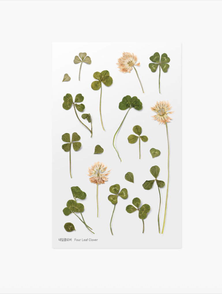 Appree - Pressed Flower Sticker Four Leaf Clover