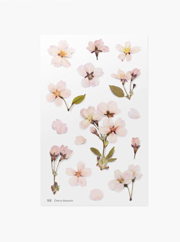 Appree - Pressed Flower Sticker Cherry Blossom
