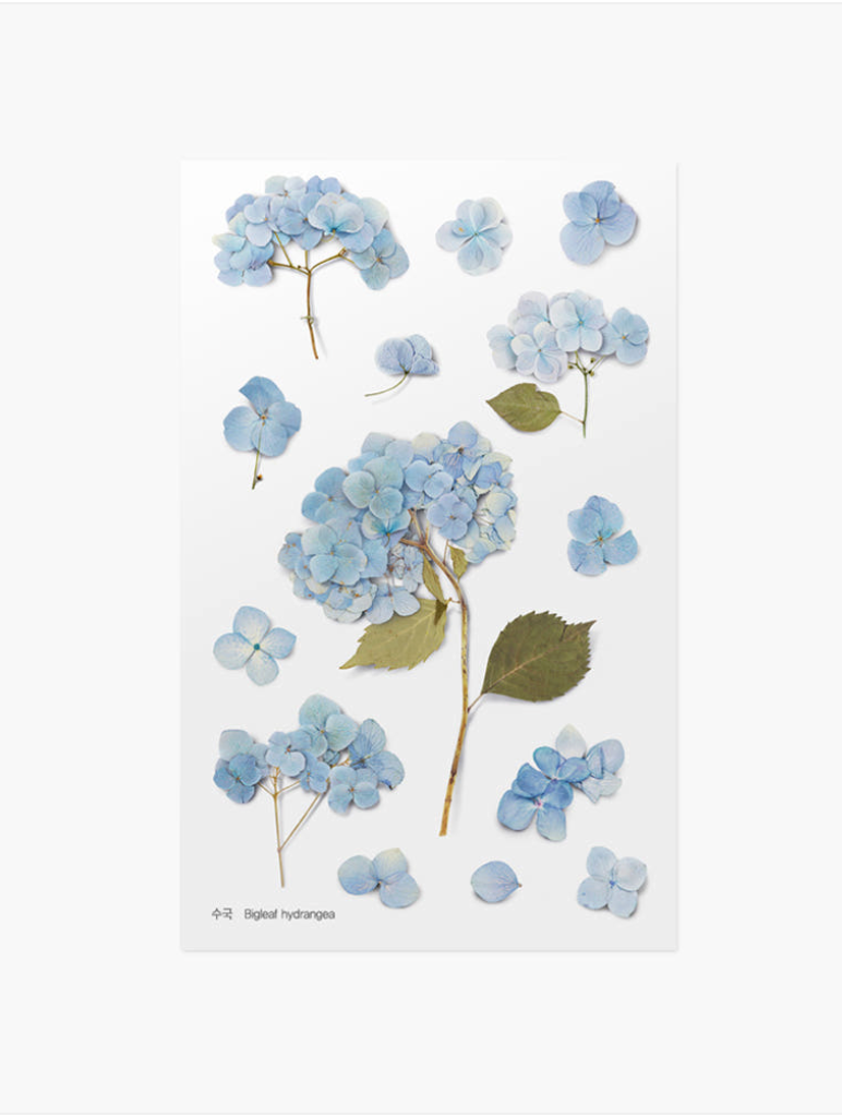 Appree - Pressed Flower Sticker Bigleaf Hydrangea