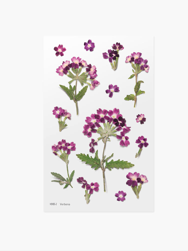 Appree - Pressed Flower Sticker Verbena