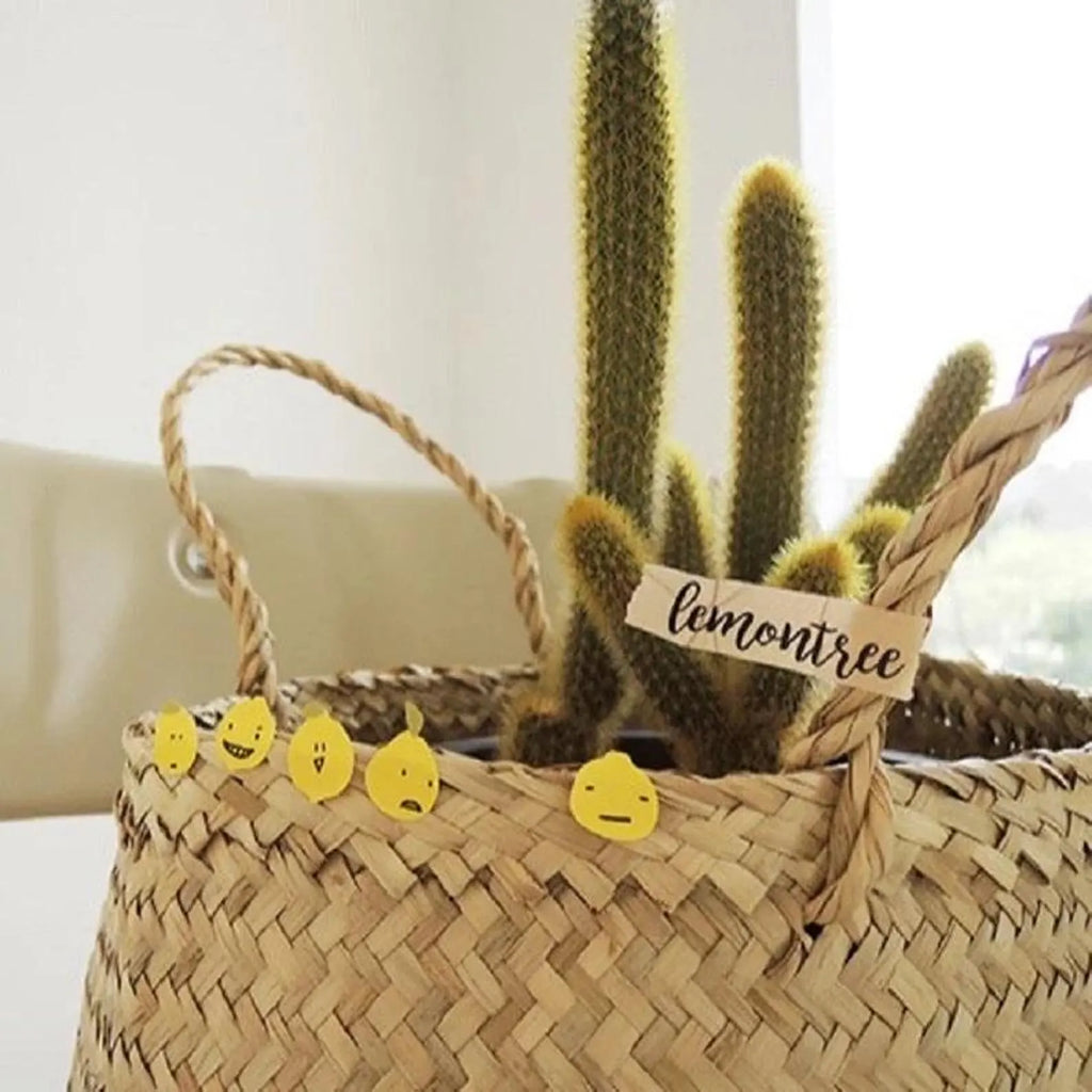 Suatelier - Lemontree Deco Sheet Sticker