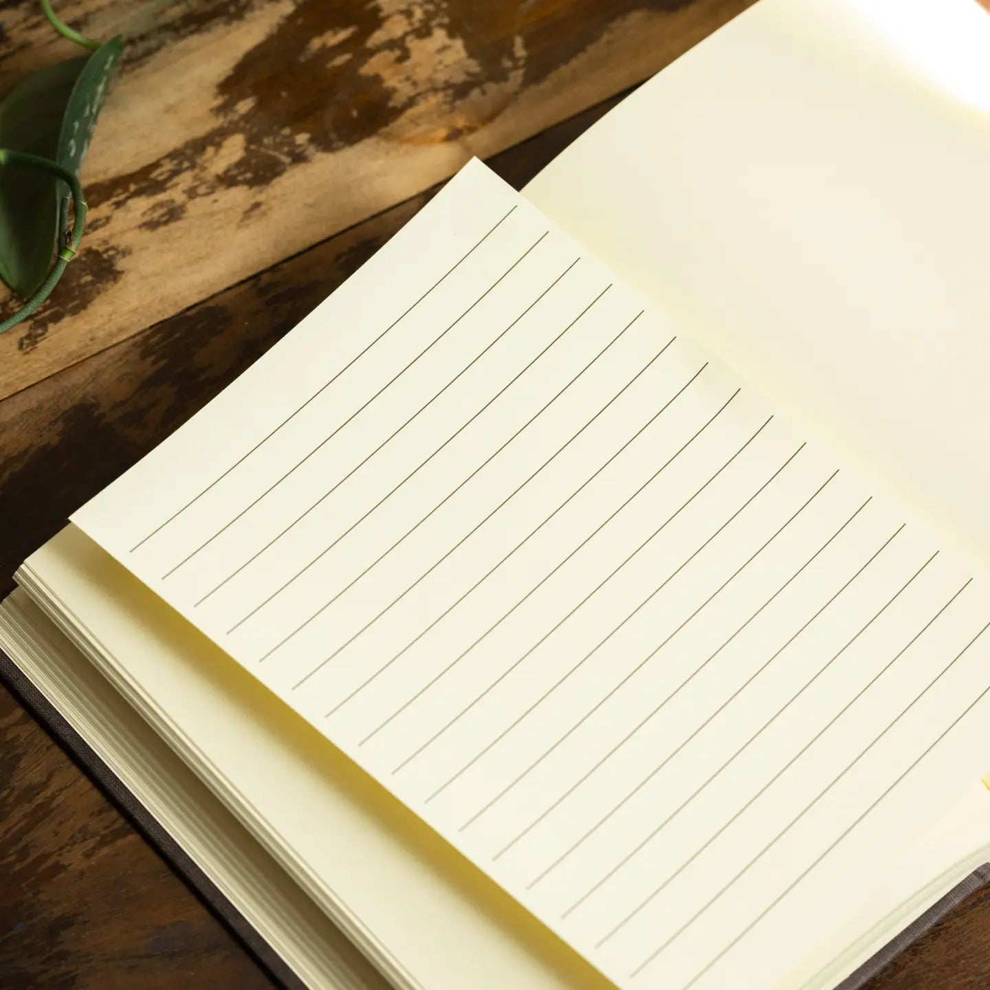 Novel Book Store - Alice in Wonderland' Lewis Carroll 1865 Book Journal