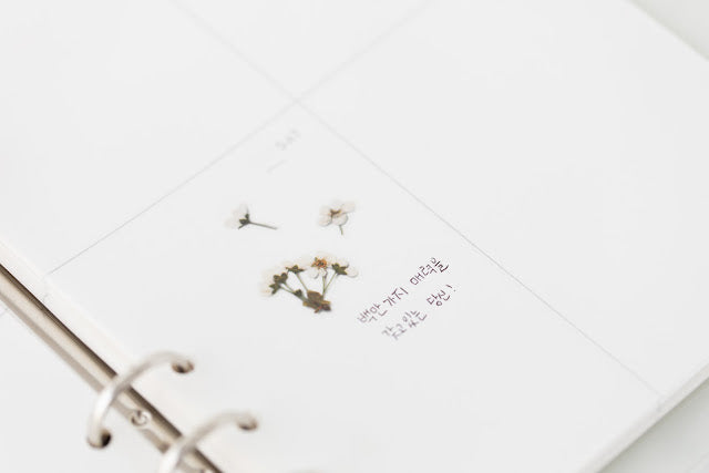 Appree - Pressed Flower Sticker Bridal Wreath