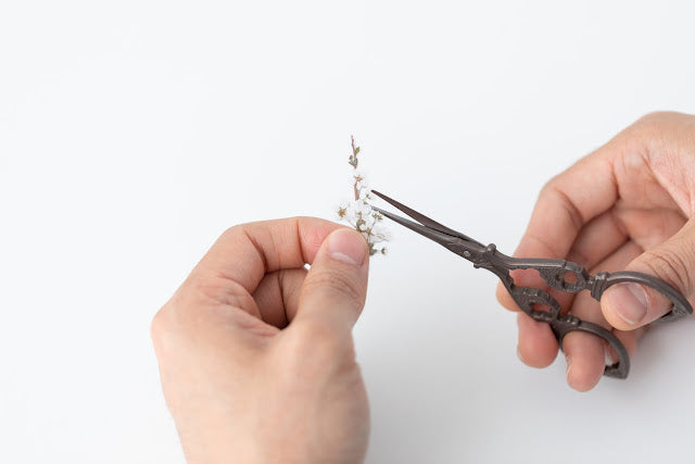 Appree - Pressed Flower Sticker Bridal Wreath