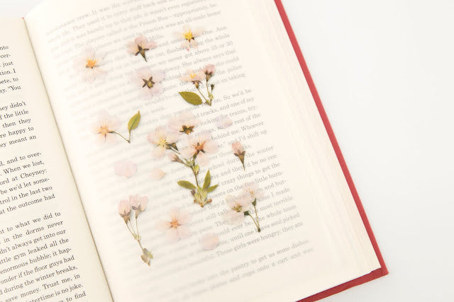 Appree - Pressed Flower Sticker Cherry Blossom