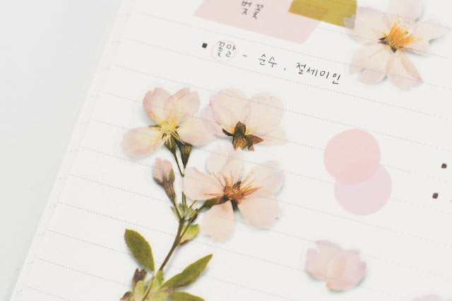 Appree - Pressed Flower Sticker Cherry Blossom