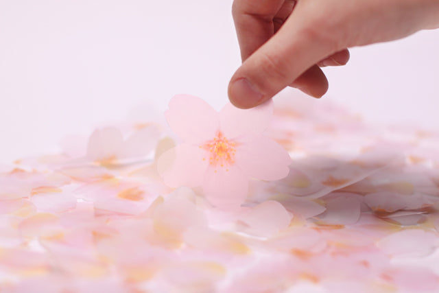 Appree - Sticky Leaf Tracing Cherry Blossom m
