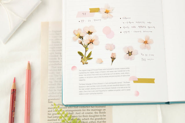 Appree - Pressed Flower Sticker Cherry Blossom