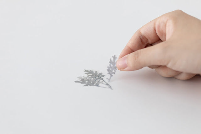 Appree - Pressed Flower Sticker Dusty Miller