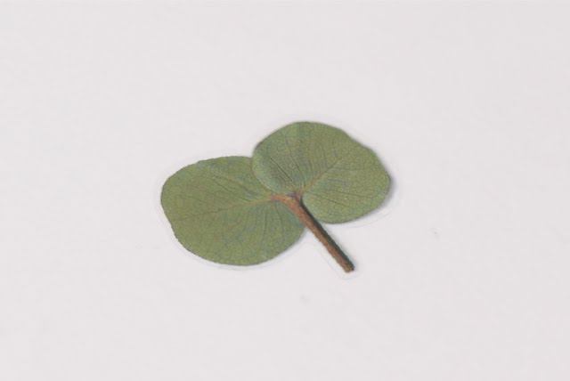 Appree - Pressed Flower Sticker Eucalyptus
