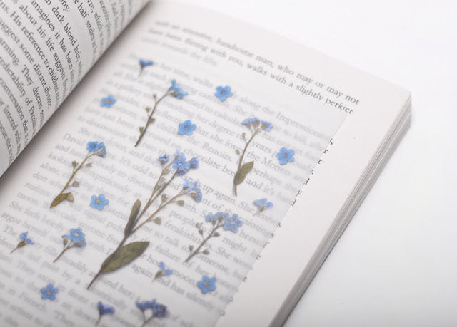 Appree - Pressed Flower Sticker Forget me not