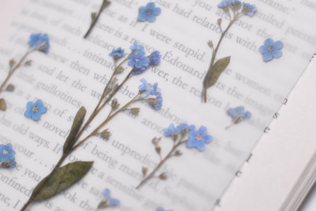 Appree - Pressed Flower Sticker Forget me not