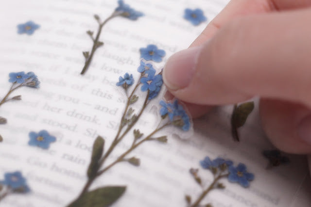 Appree - Pressed Flower Sticker Forget me not