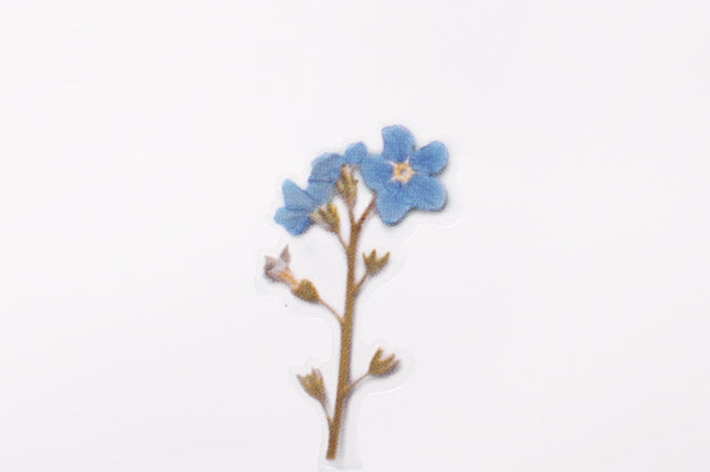 Appree - Pressed Flower Sticker Forget me not