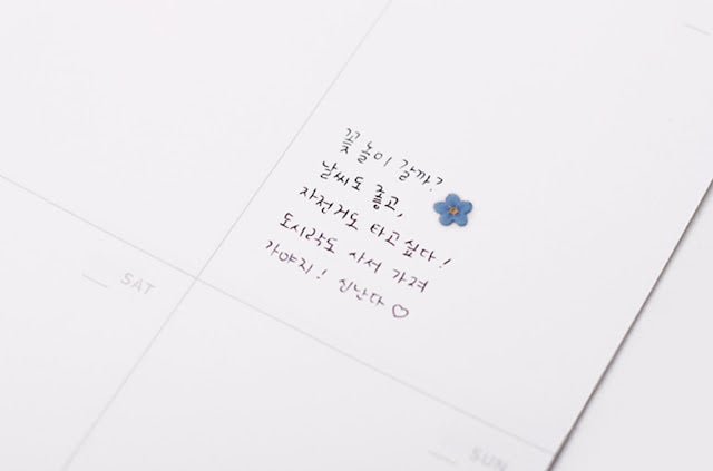 Appree - Pressed Flower Sticker Forget me not