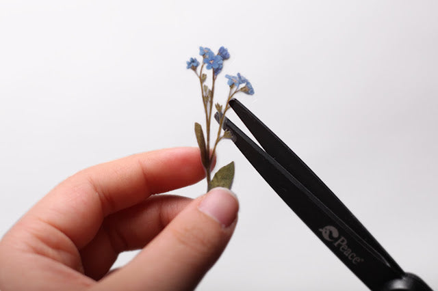 Appree - Pressed Flower Sticker Forget me not