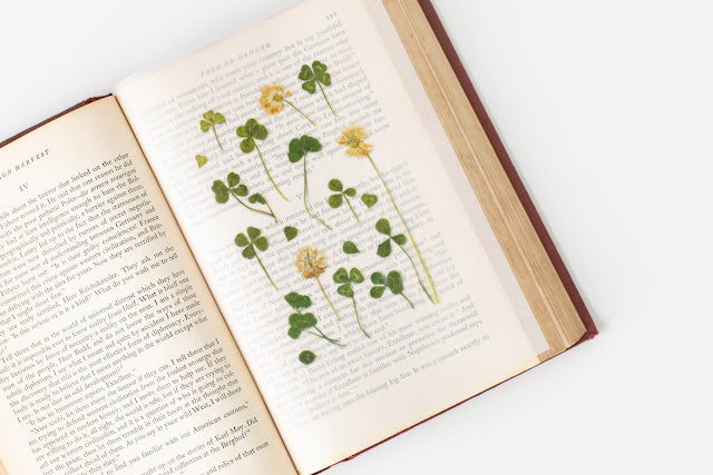 Appree - Pressed Flower Sticker Four Leaf Clover