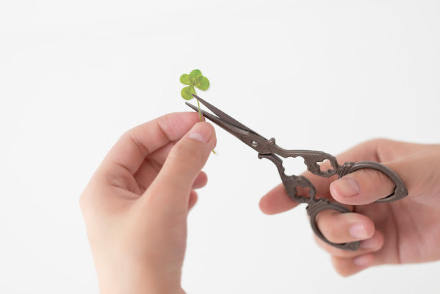 Appree - Pressed Flower Sticker Four Leaf Clover