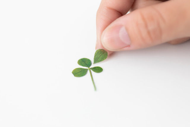 Appree - Pressed Flower Sticker Four Leaf Clover