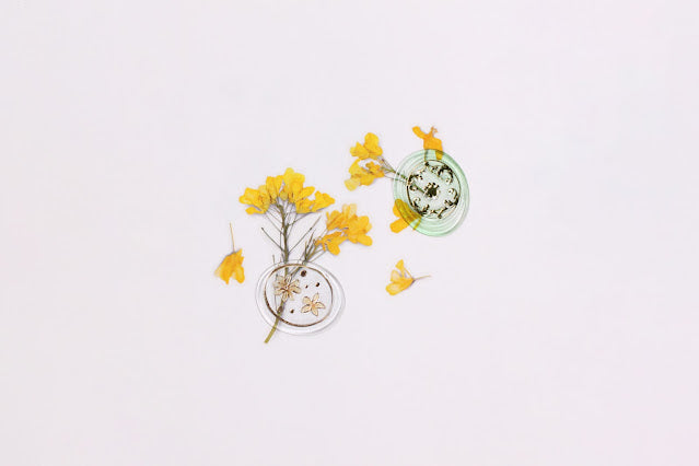 Appree - Sealing Wax Sticker Pure Green