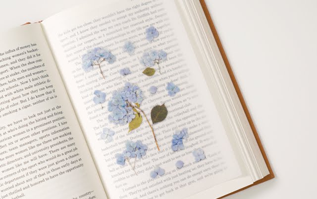 Appree - Pressed Flower Sticker Bigleaf Hydrangea