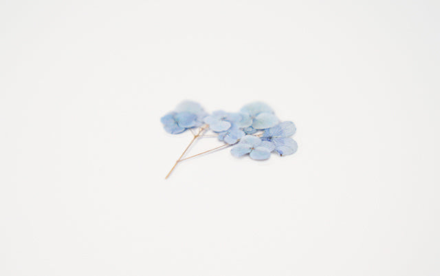 Appree - Pressed Flower Sticker Bigleaf Hydrangea