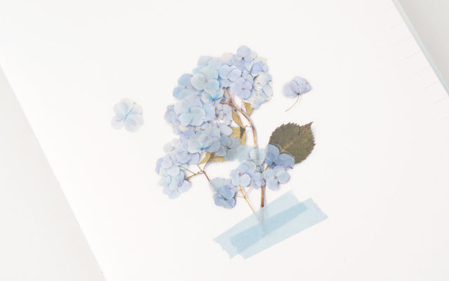 Appree - Pressed Flower Sticker Bigleaf Hydrangea