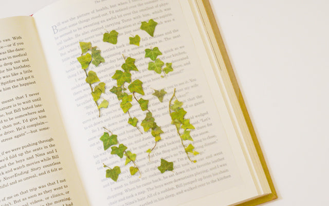 Appree - Pressed Flower Sticker Ivy