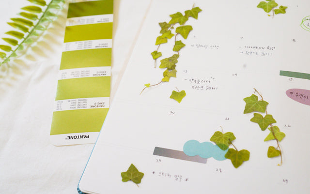 Appree - Pressed Flower Sticker Ivy