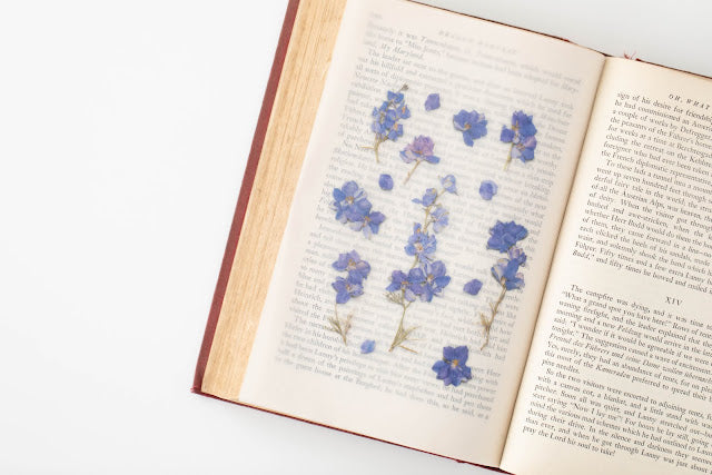 Appree - Pressed Flower Sticker Larkspur