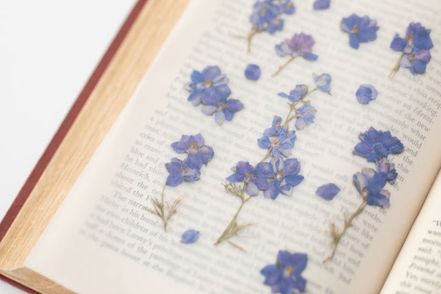 Appree - Pressed Flower Sticker Larkspur