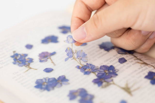 Appree - Pressed Flower Sticker Larkspur