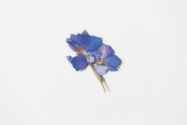 Appree - Pressed Flower Sticker Larkspur