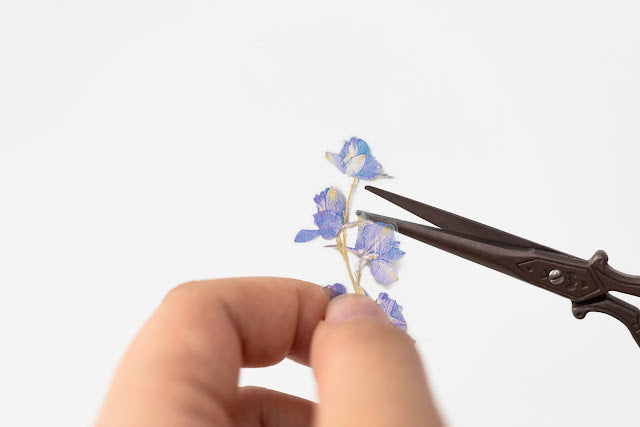 Appree - Pressed Flower Sticker Larkspur