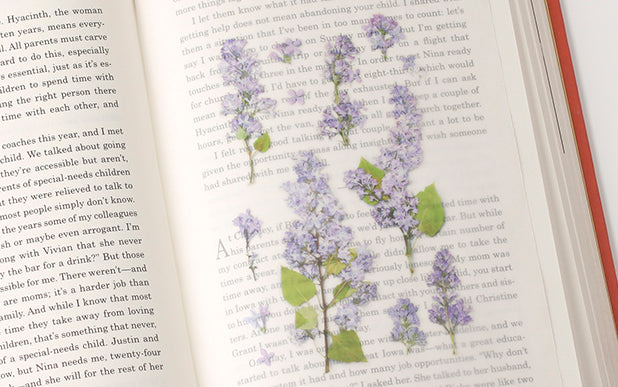 Appree - Pressed Flower Sticker Lilac